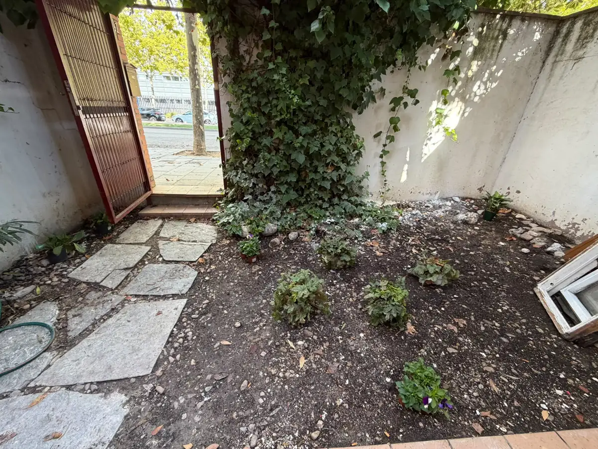 El patio ya plantado, con la tierra limpia
