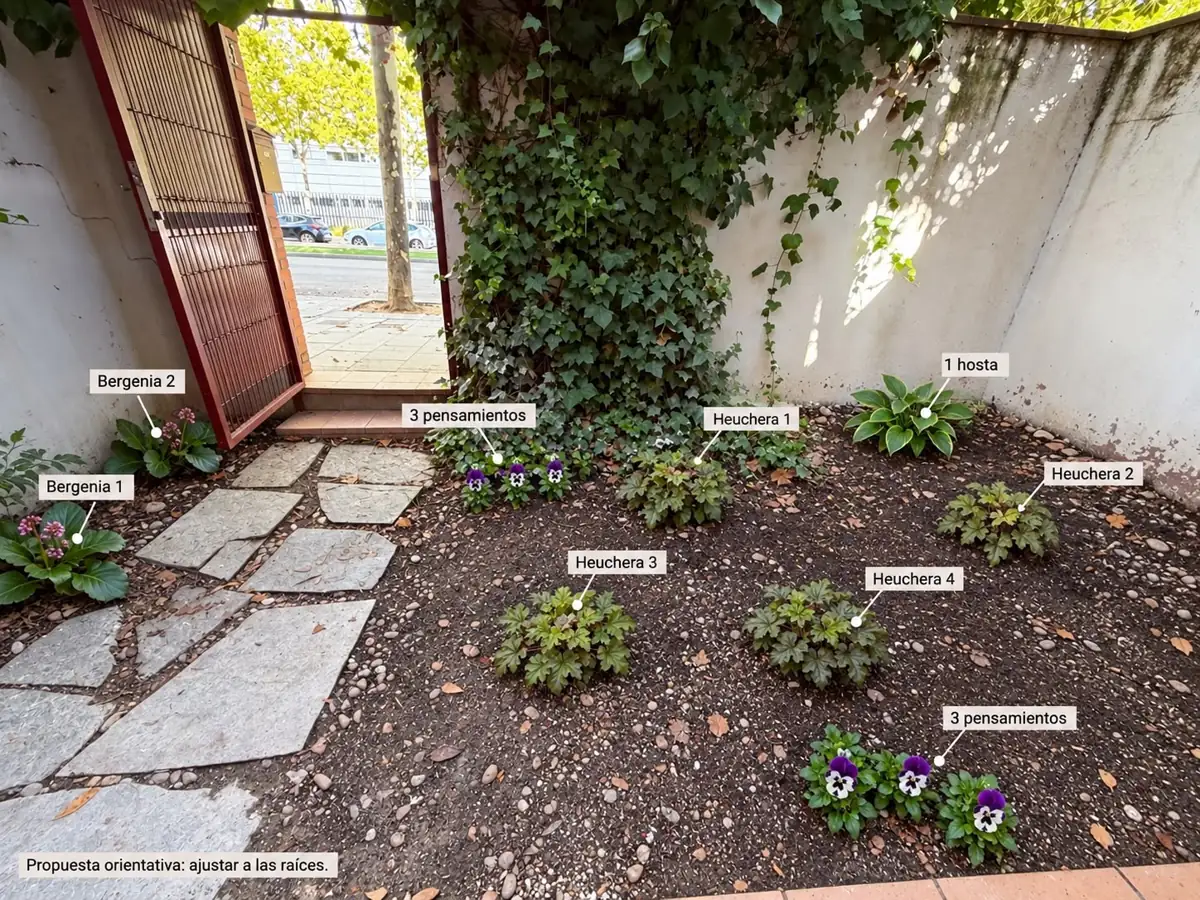 Foto del patio con la propuesta de dónde va cada planta